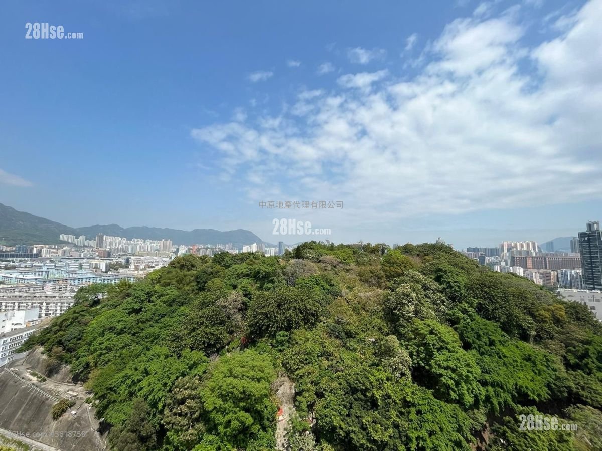 景怡峰 售盤 1 房 270 平方呎 景怡峰 售盤 1 房 270 平方呎