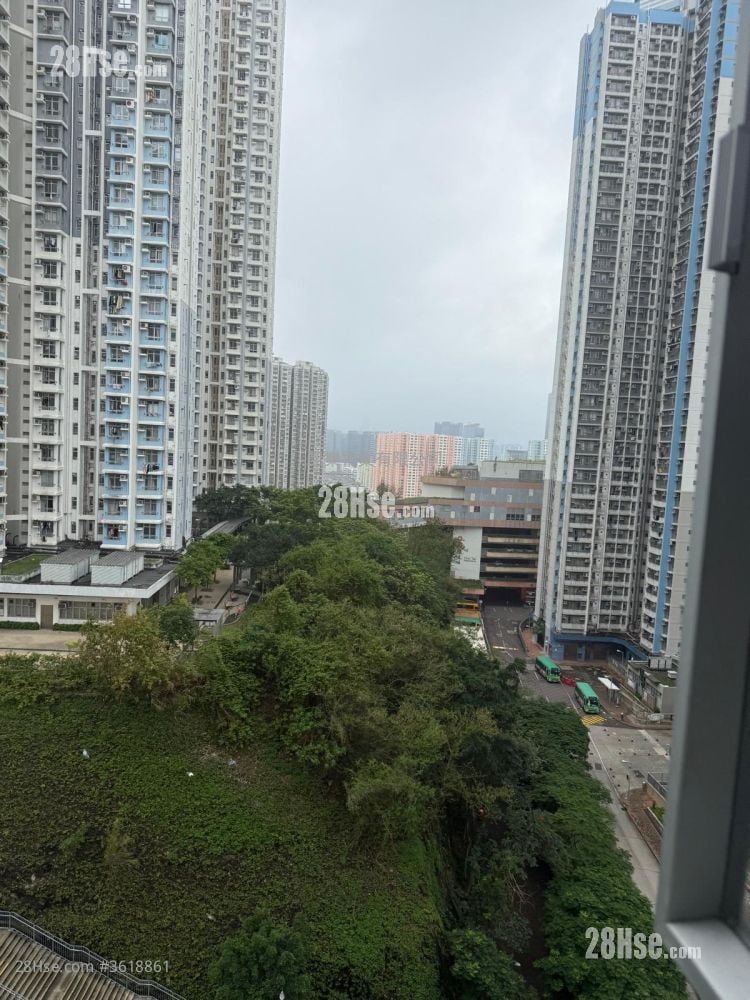 Choi Hing Court Sell 2 Bedrooms , 1 Bathroom 378 ft² Choi Hing Court Sell 2 Bedrooms , 1 Bathroom 378 ft²