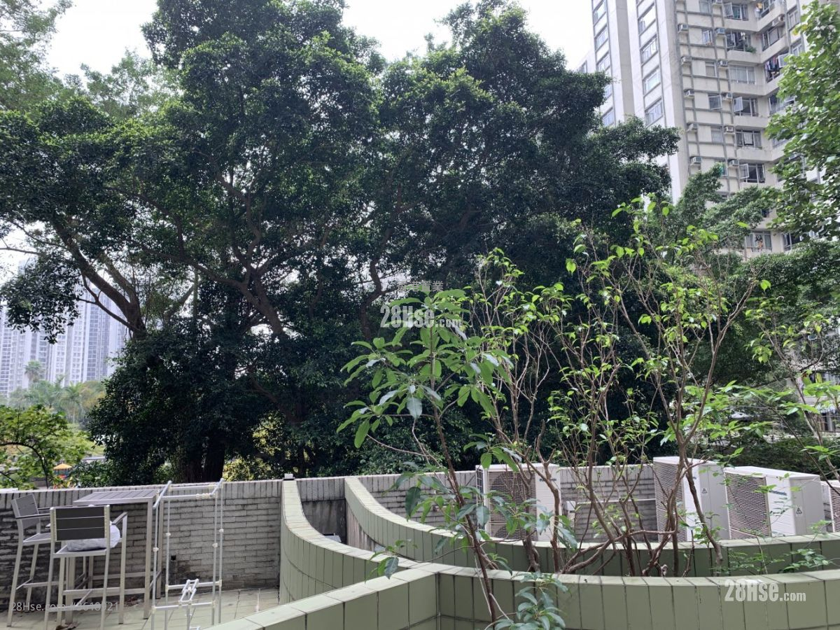 Lei King Wan Sell 2 Bedrooms , 1 Bathroom 480 ft²
