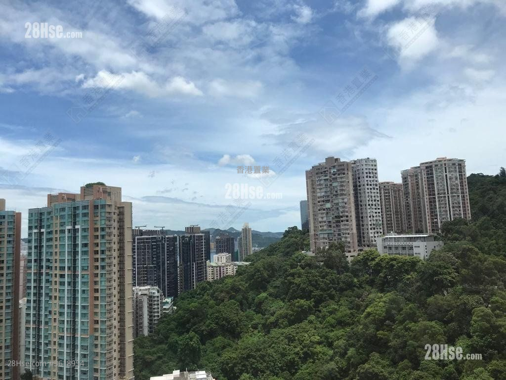Lime Habitat Rental 3 Bedrooms , 2 Bathrooms 722 ft² Lime Habitat Rental 3 Bedrooms , 2 Bathrooms 722 ft²