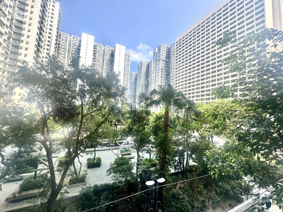 城市花園 售盤 3 房 , 2 浴室 1,029 平方呎 城市花園 售盤 3 房 , 2 浴室 1,029 平方呎