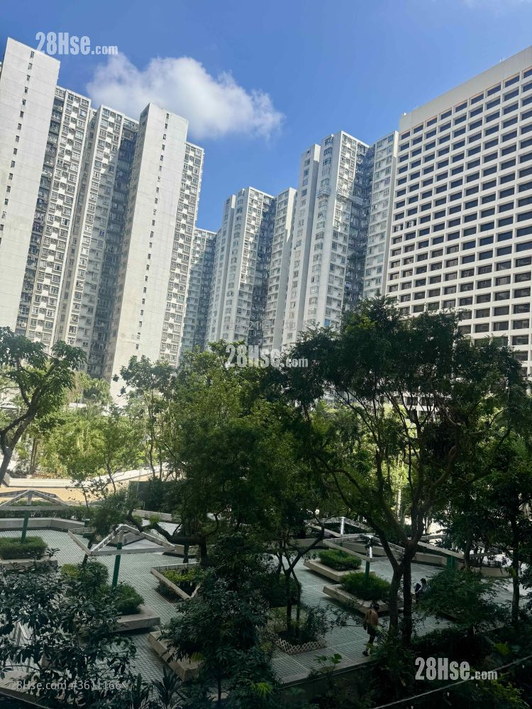 城市花園 售盤 3 房 , 2 浴室 1,029 平方呎 城市花園 售盤 3 房 , 2 浴室 1,029 平方呎