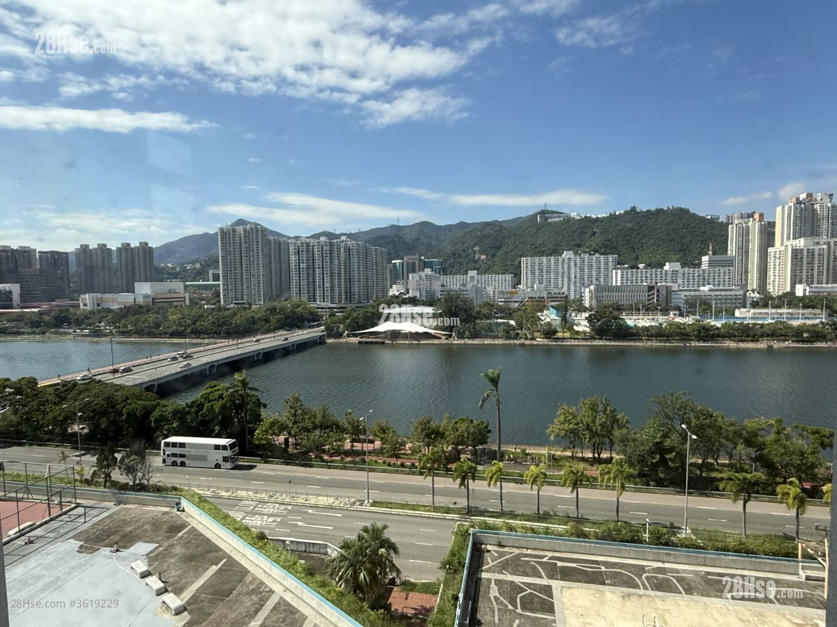 河畔花園 租盤 1 房 , 1 浴室 242 平方呎 河畔花園 租盤 1 房 , 1 浴室 242 平方呎