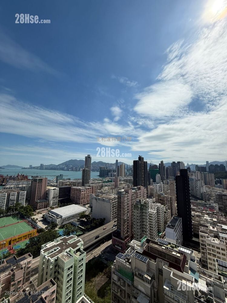 93Pauchungstreet Rental 1 Bedroom , 1 Bathroom 316 ft² 93Pauchungstreet Rental 1 Bedroom , 1 Bathroom 316 ft²
