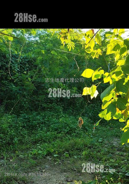 土地 售盤 1,618 平方呎 土地 售盤 1,618 平方呎