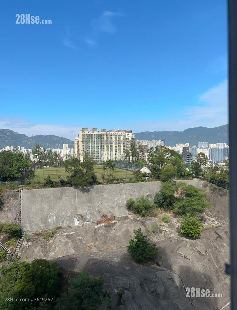 景觀: 開揚向南 景觀: 開揚向南