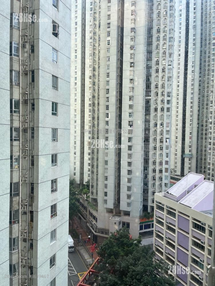 Belvedere Garden Sell 3 Bedrooms , 2 Bathrooms 728 ft² Belvedere Garden Sell 3 Bedrooms , 2 Bathrooms 728 ft²