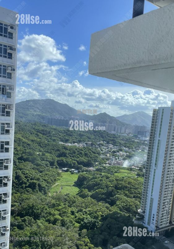 山麗苑 售盤 448 平方呎 山麗苑 售盤 448 平方呎