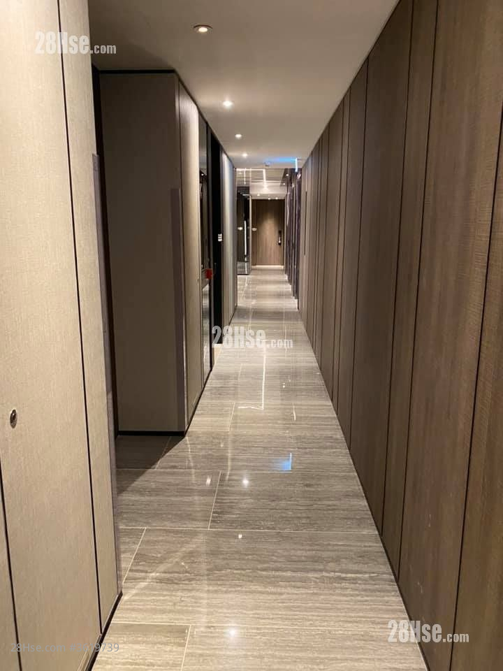 Downtown 38 Rental 1 Bedroom , 1 Bathroom 304 ft² Downtown 38 Rental 1 Bedroom , 1 Bathroom 304 ft²