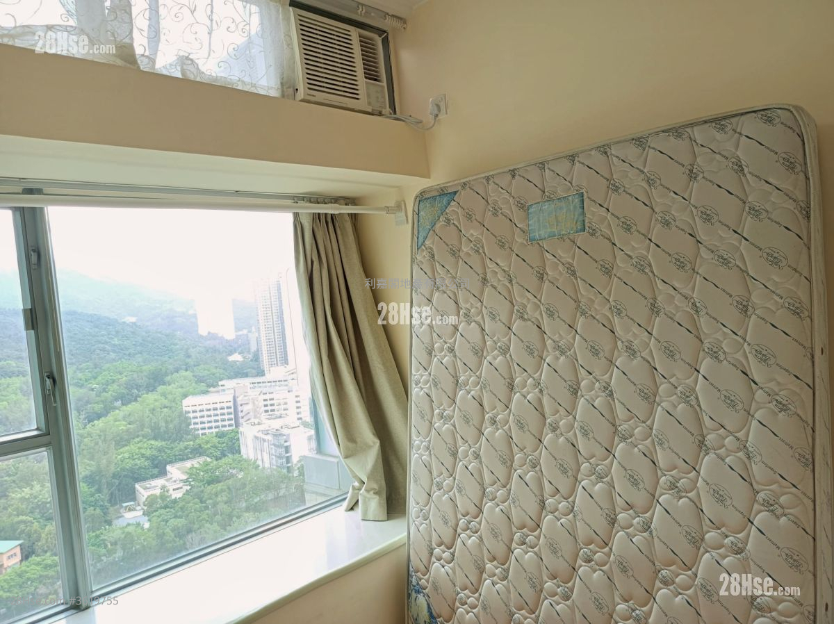Coastal Skyline Rental 2 Bedrooms , 1 Bathroom 485 ft² Coastal Skyline Rental 2 Bedrooms , 1 Bathroom 485 ft²