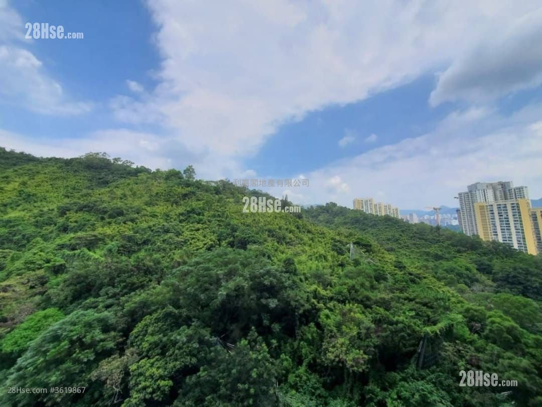 The Grand Marine Rental 1 Bedroom , 1 Bathroom 299 ft²