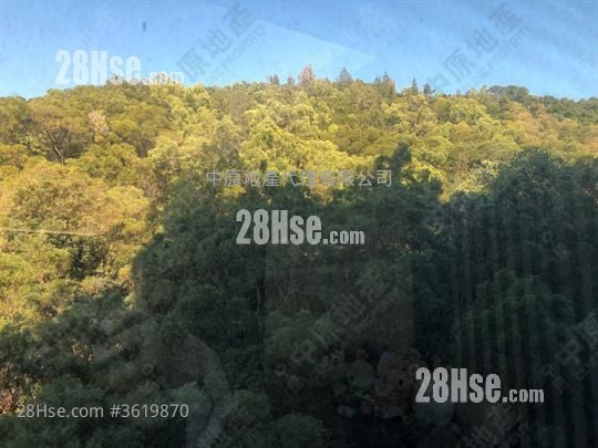 帝景峰 售盤 3 房 , 2 浴室 1,175 平方呎 帝景峰 售盤 3 房 , 2 浴室 1,175 平方呎