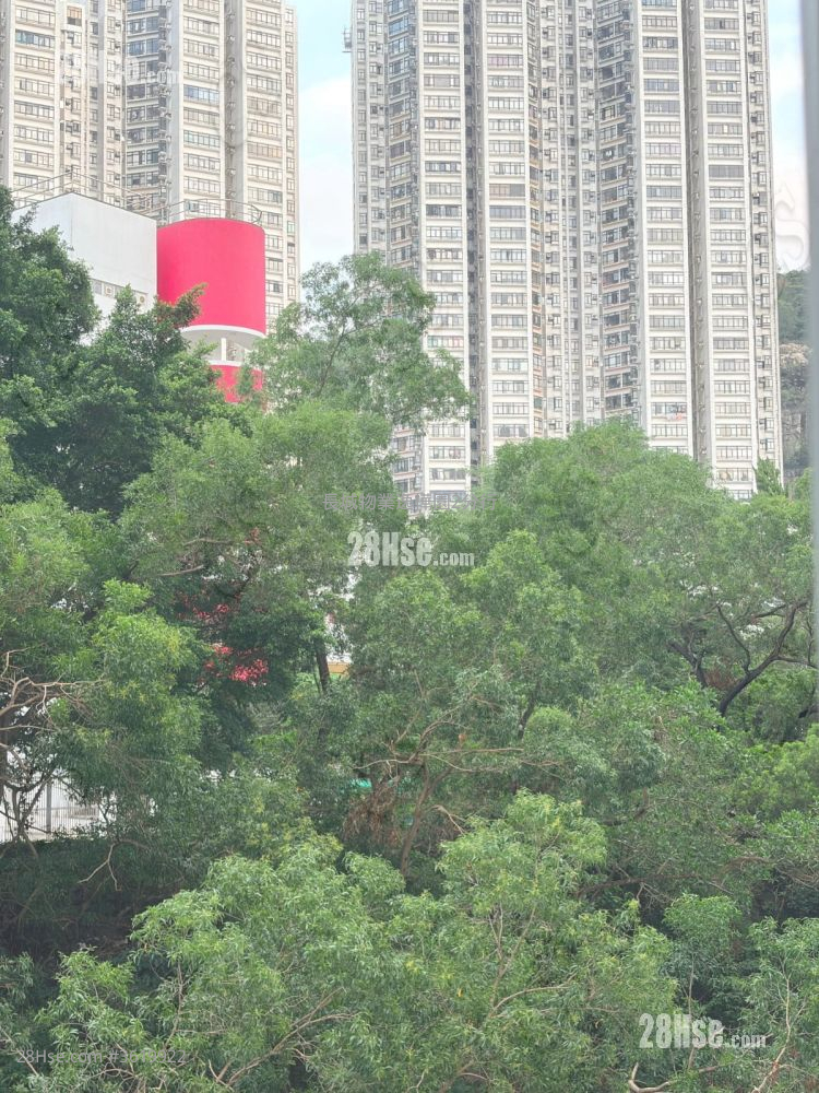 Nan Fung Sun Chuen Rental 2 Bedrooms , 1 Bathroom 391 ft²