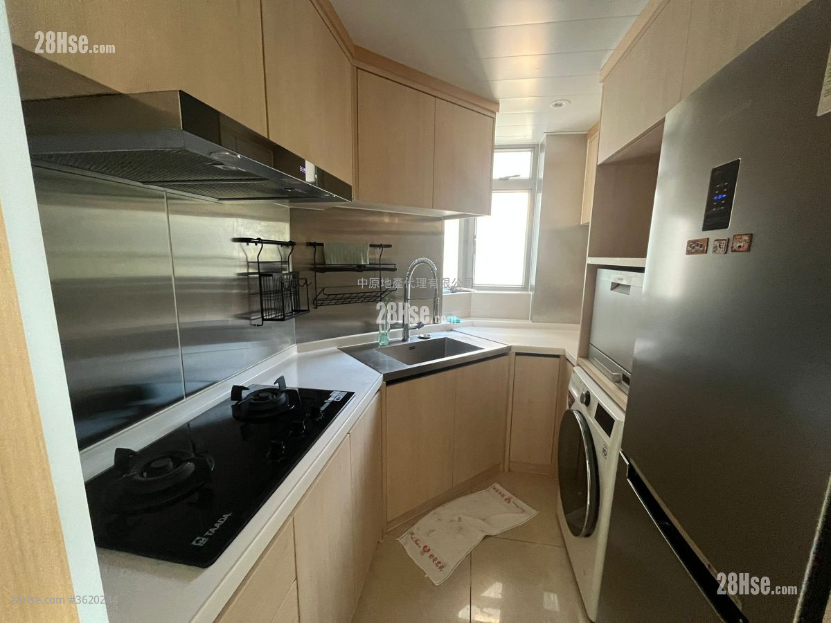 Caribbean Coast Rental 2 Bedrooms , 1 Bathroom 546 ft² Caribbean Coast Rental 2 Bedrooms , 1 Bathroom 546 ft²