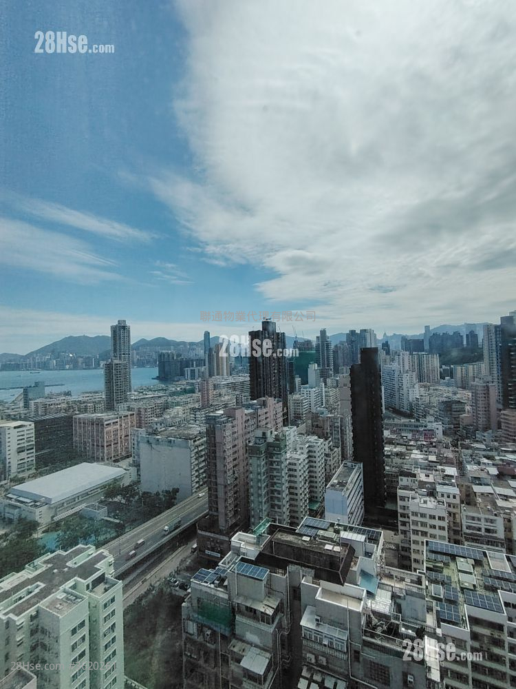 93Pauchungstreet Rental 1 Bedroom , 1 Bathroom 316 ft² 93Pauchungstreet Rental 1 Bedroom , 1 Bathroom 316 ft²