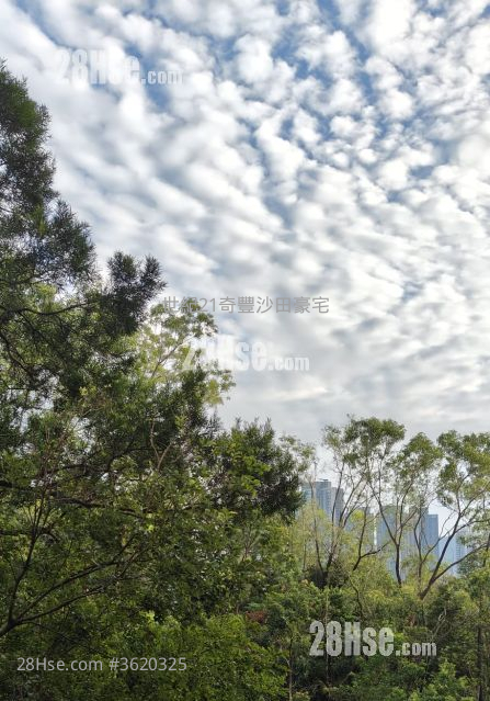 曉翠山莊 售盤 3 房 , 2 浴室 809 平方呎 曉翠山莊 售盤 3 房 , 2 浴室 809 平方呎