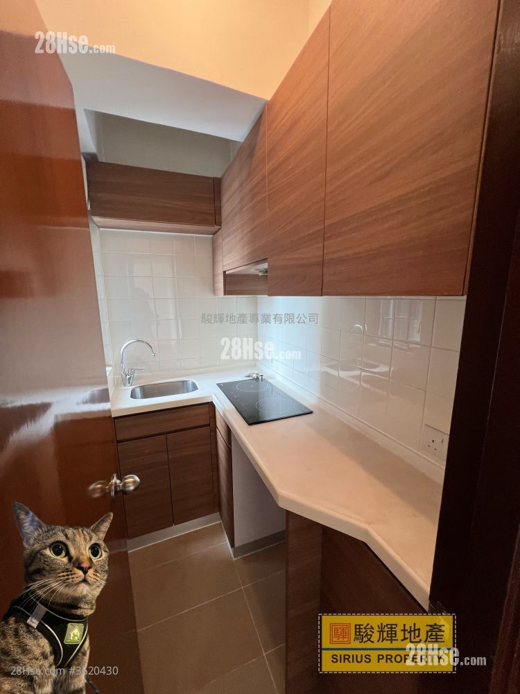 Tung Po Court Rental 2 Bedrooms , 1 Bathroom 300 ft² Tung Po Court Rental 2 Bedrooms , 1 Bathroom 300 ft²