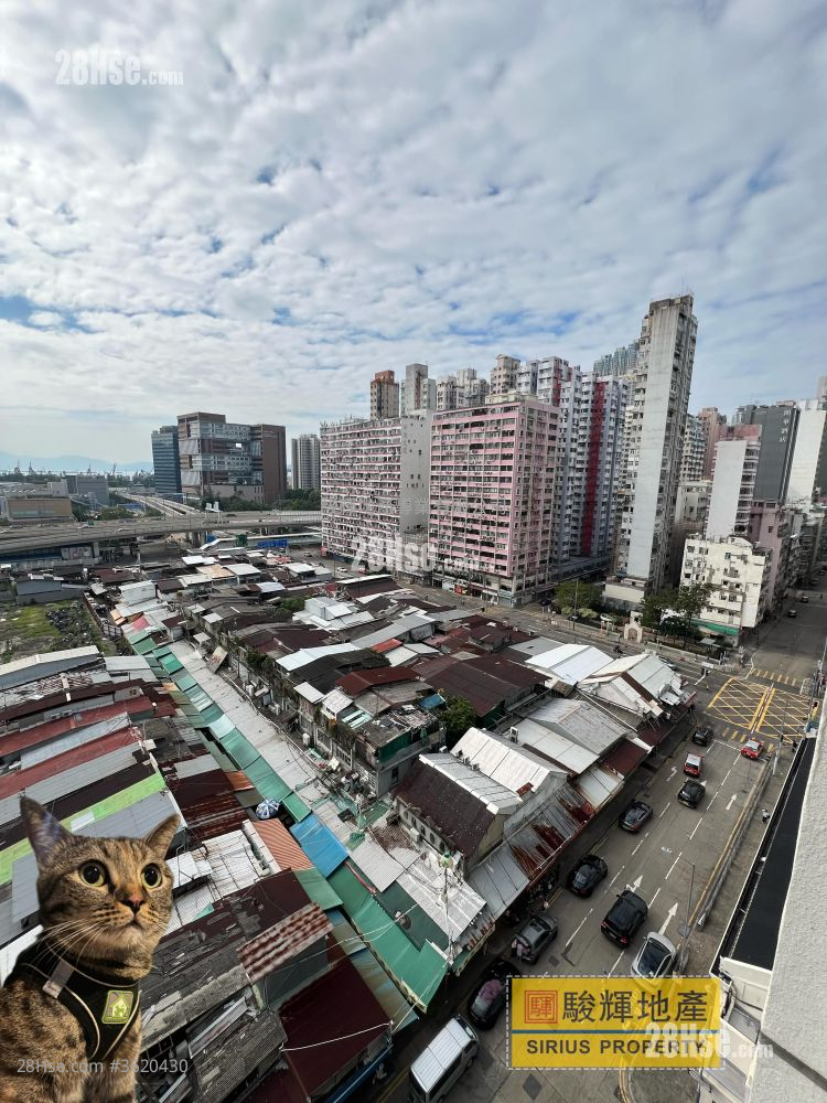 Tung Po Court Rental 2 Bedrooms , 1 Bathroom 300 ft² Tung Po Court Rental 2 Bedrooms , 1 Bathroom 300 ft²
