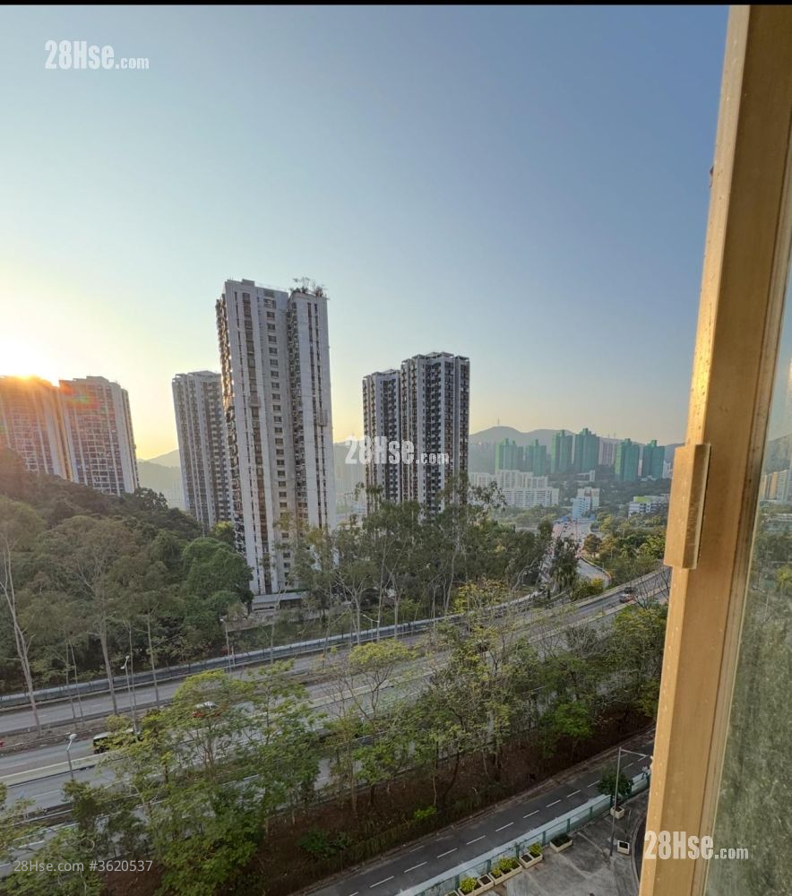 沙田第一城 售盤 2 房 , 1 浴室 304 平方呎 沙田第一城 售盤 2 房 , 1 浴室 304 平方呎