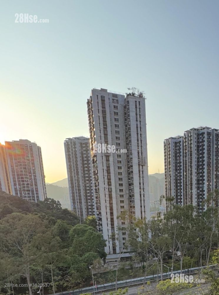 沙田第一城 售盤 2 房 , 1 浴室 304 平方呎 沙田第一城 售盤 2 房 , 1 浴室 304 平方呎