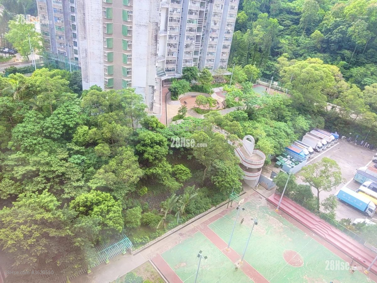 竹園北邨 售盤 2 房 , 1 浴室 381 平方呎 竹園北邨 售盤 2 房 , 1 浴室 381 平方呎