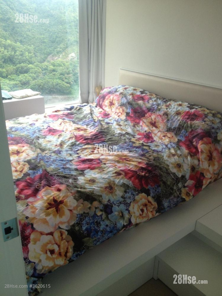 Metro Town Rental 2 Bedrooms , 1 Bathroom 503 ft² Metro Town Rental 2 Bedrooms , 1 Bathroom 503 ft²