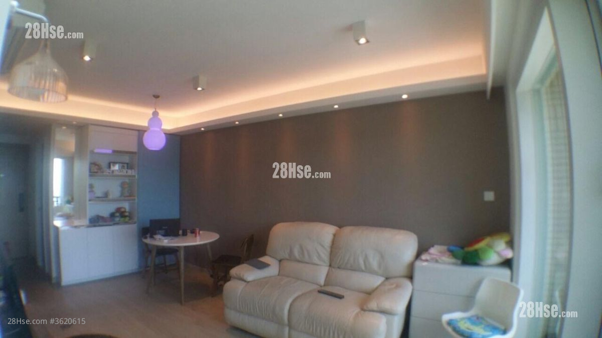 Metro Town Rental 2 Bedrooms , 1 Bathroom 503 ft² Metro Town Rental 2 Bedrooms , 1 Bathroom 503 ft²