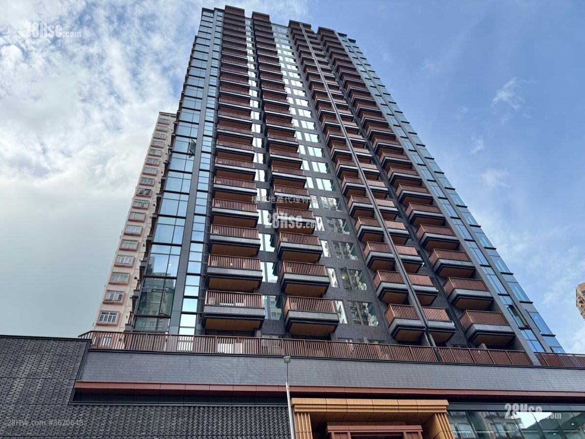 Phoenext Rental 1 Bedroom , 1 Bathroom 242 ft² Phoenext Rental 1 Bedroom , 1 Bathroom 242 ft²