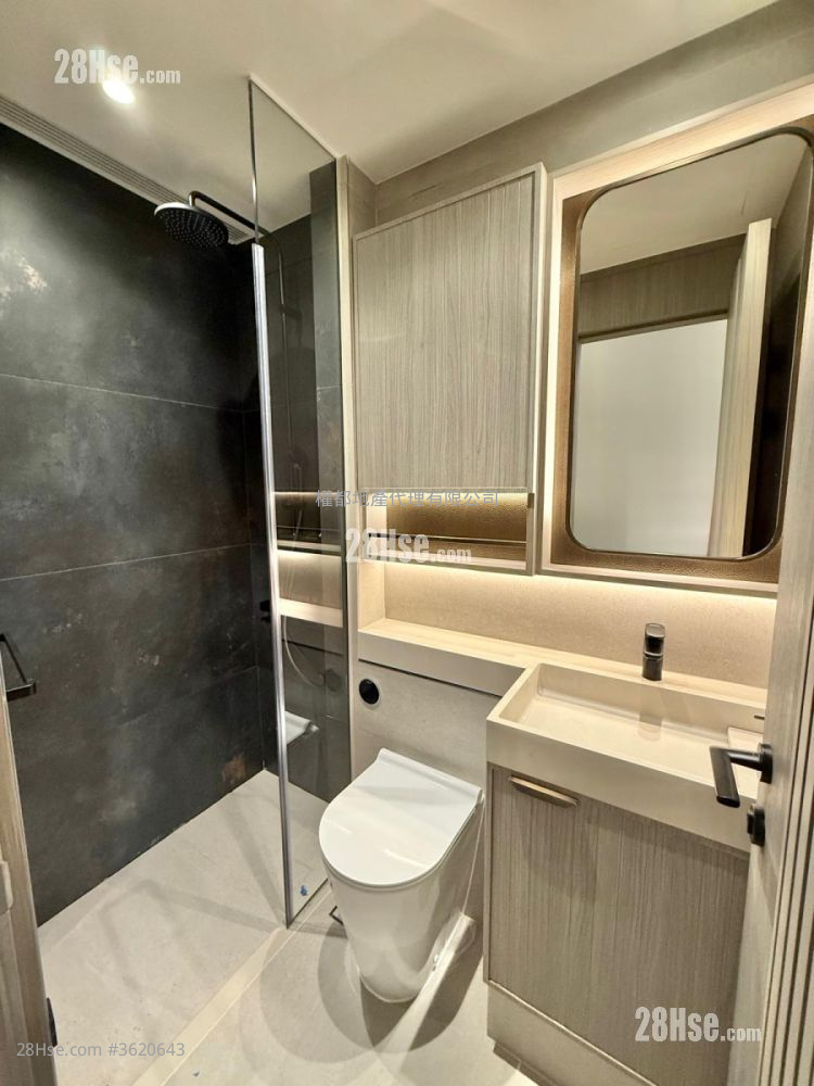 Phoenext Rental 1 Bedroom , 1 Bathroom 242 ft² Phoenext Rental 1 Bedroom , 1 Bathroom 242 ft²