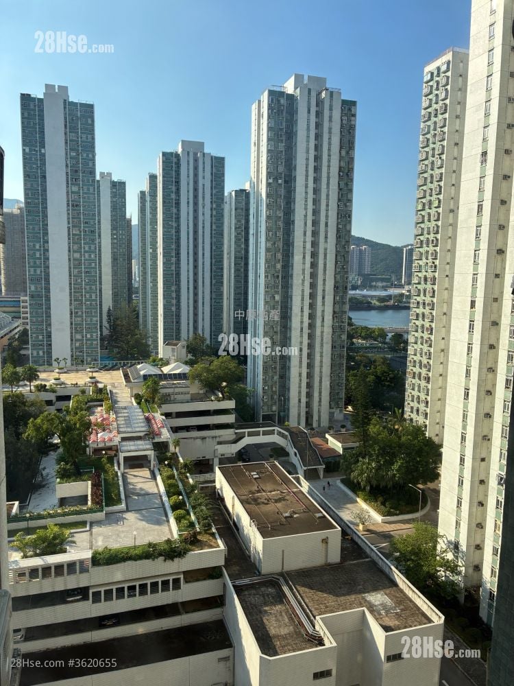 City One Shatin Sell 3 Bedrooms , 1 Bathroom 451 ft² City One Shatin Sell 3 Bedrooms , 1 Bathroom 451 ft²