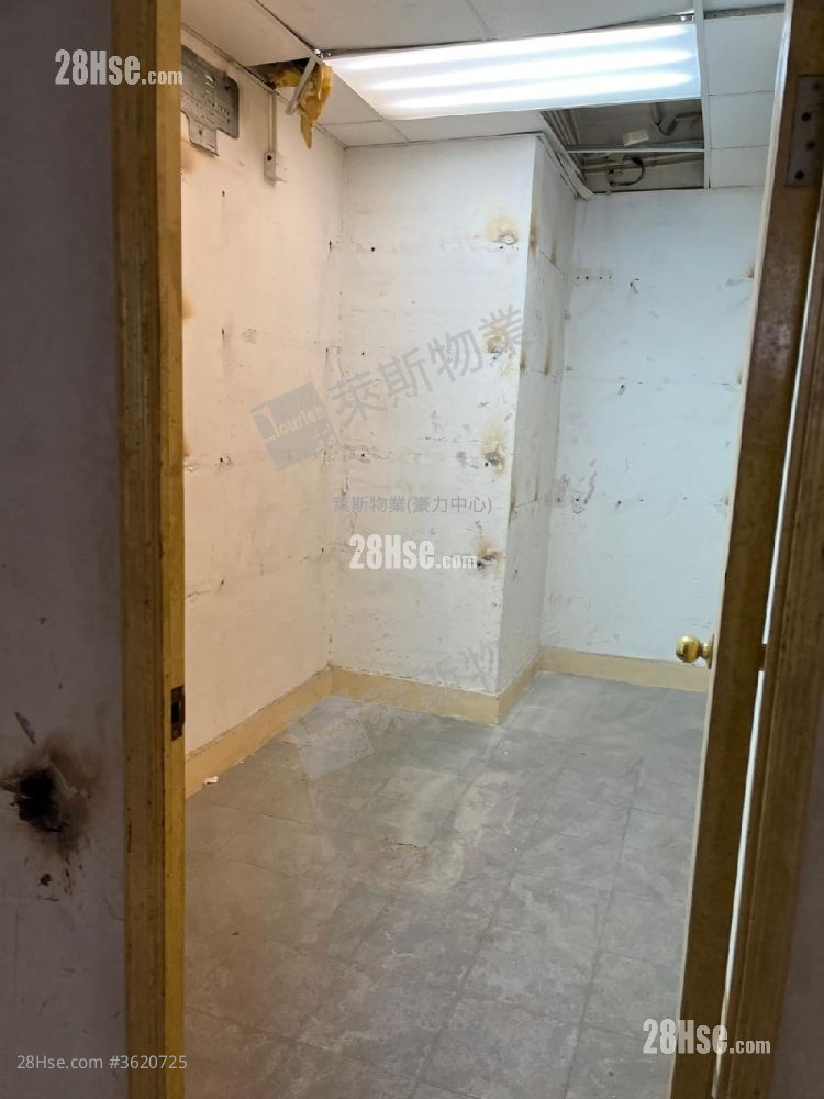 德豐工業中心 租盤 德豐工業中心 租盤