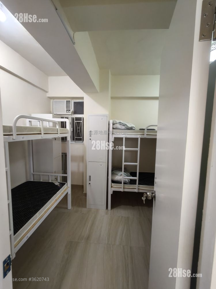 35 Ki Lung Street Rental 3 Bedrooms , 1 Bathroom 300 ft² 35 Ki Lung Street Rental 3 Bedrooms , 1 Bathroom 300 ft²