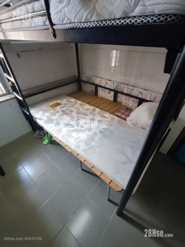 245 Apliu Street Rental 1 Bedroom 100 ft² 245 Apliu Street Rental 1 Bedroom 100 ft²