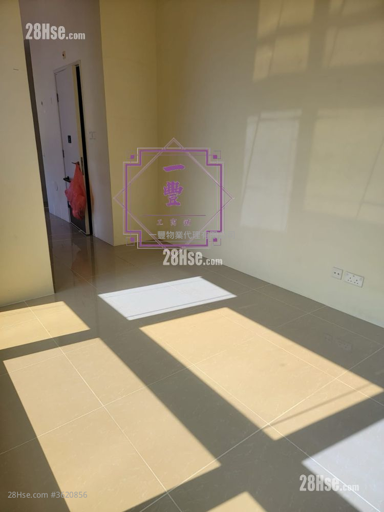 iPLACE 租盤 iPLACE 租盤