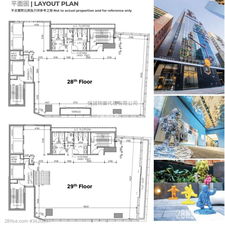 萬有引力 租盤 萬有引力 租盤