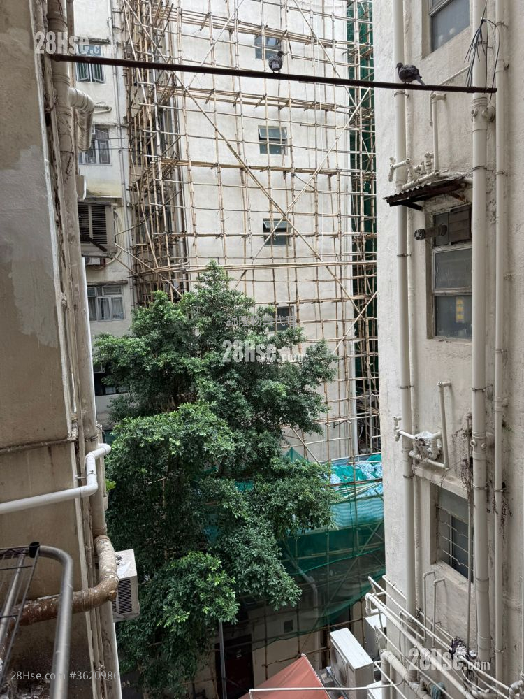 Apartment Rental 1 Bedroom , 1 Bathroom 180 ft² Apartment Rental 1 Bedroom , 1 Bathroom 180 ft²