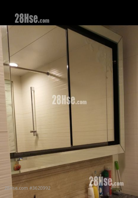 The Beaumount Rental 2 Bedrooms , 1 Bathroom 502 ft² The Beaumount Rental 2 Bedrooms , 1 Bathroom 502 ft²