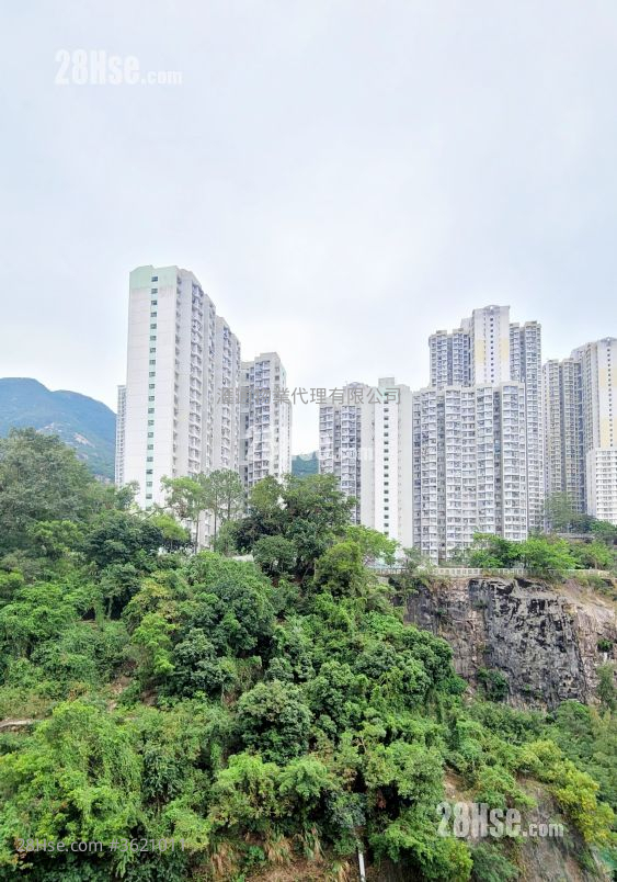 Belleve Court Rental 2 Bedrooms , 1 Bathroom 272 ft² Belleve Court Rental 2 Bedrooms , 1 Bathroom 272 ft²