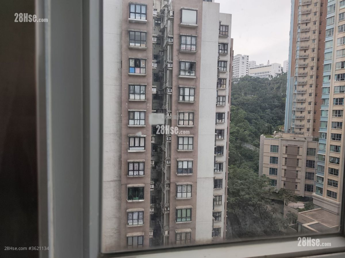 Melody Court Rental 1 Bedroom , 1 Bathroom 313 ft² Melody Court Rental 1 Bedroom , 1 Bathroom 313 ft²