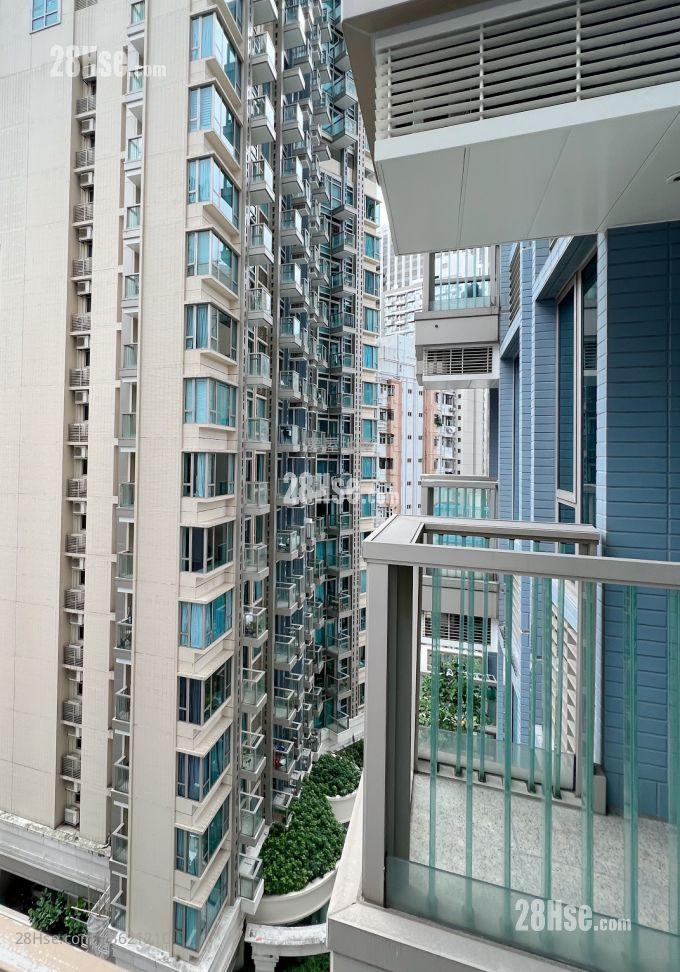 The Avenue Rental 1 Bedroom , 1 Bathroom 431 ft² The Avenue Rental 1 Bedroom , 1 Bathroom 431 ft²