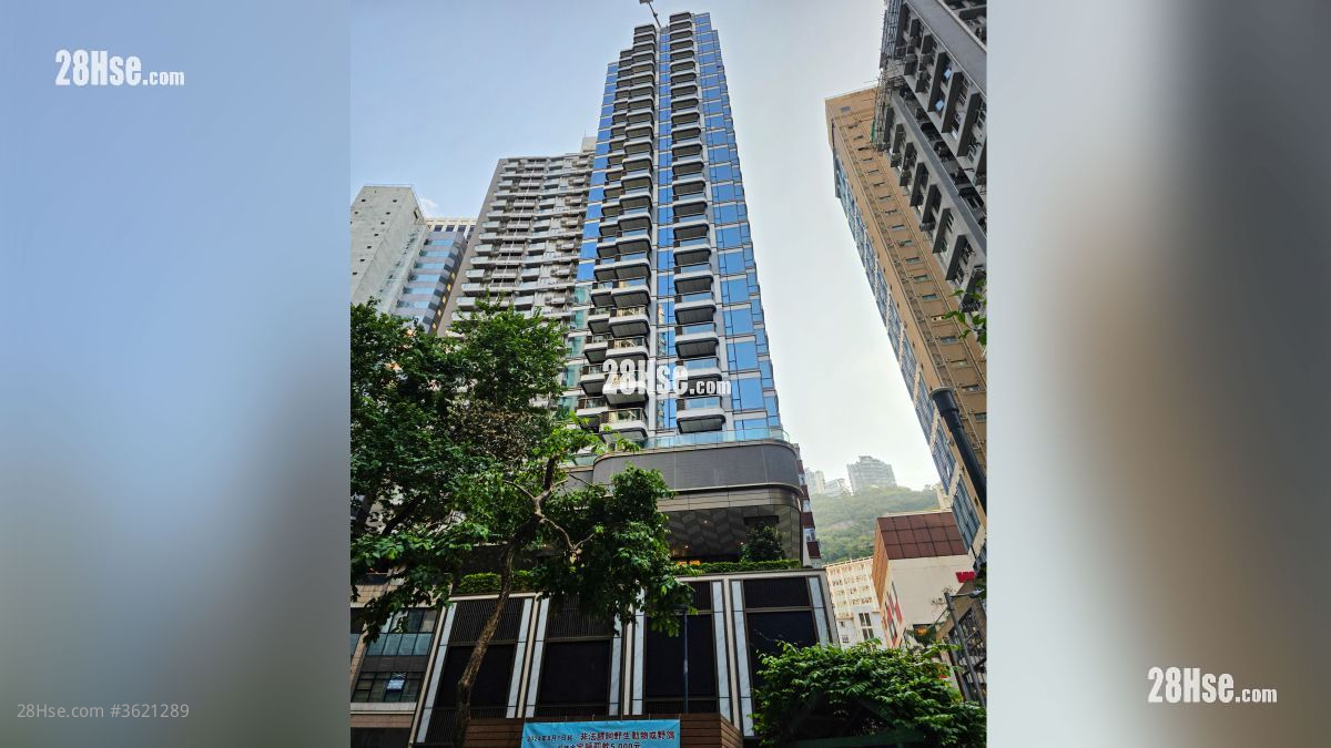 Spring Garden 售盤 292 平方呎