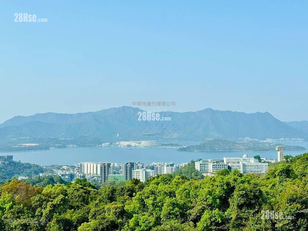 La Vetta Rental 4 Bedrooms , 4 Bathrooms 1,572 ft² La Vetta Rental 4 Bedrooms , 4 Bathrooms 1,572 ft²