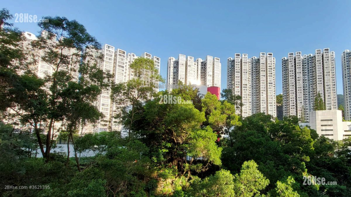 Nan Fung Sun Chuen Rental 2 Bedrooms , 1 Bathroom 391 ft² Nan Fung Sun Chuen Rental 2 Bedrooms , 1 Bathroom 391 ft²