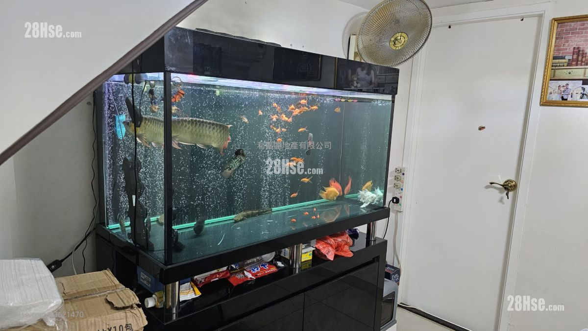 Shui Tsiu San Tsuen Sell 3 Bedrooms 700 ft² Shui Tsiu San Tsuen Sell 3 Bedrooms 700 ft²
