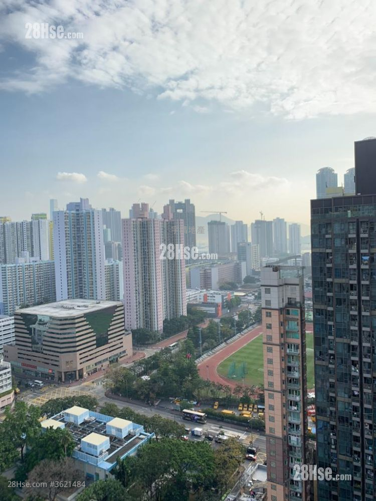 The Amused Rental 2 Bedrooms , 1 Bathroom 405 ft² The Amused Rental 2 Bedrooms , 1 Bathroom 405 ft²