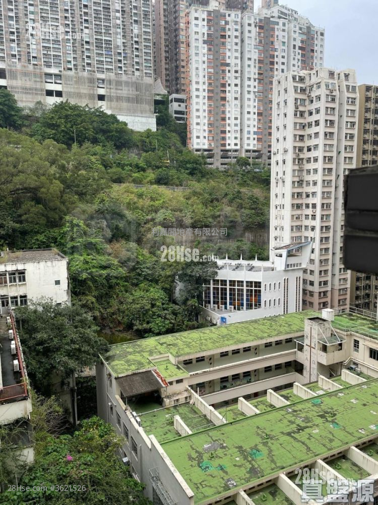 楓林花園 售盤 3 房 , 1 浴室 608 平方呎 楓林花園 售盤 3 房 , 1 浴室 608 平方呎