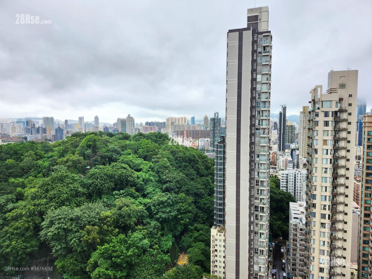 Belgravia Place Sell 1 Bedroom , 1 Bathroom 266 ft² Belgravia Place Sell 1 Bedroom , 1 Bathroom 266 ft²