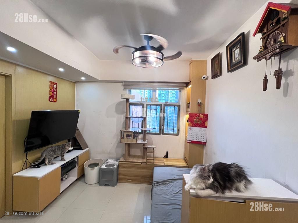 Fok On Building Sell 2 Bedrooms , 1 Bathroom 378 ft² Fok On Building Sell 2 Bedrooms , 1 Bathroom 378 ft²