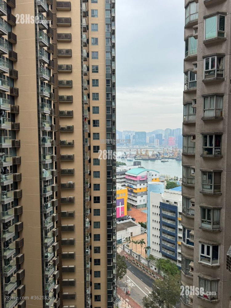 碧麗花園 租盤 2 房 , 1 浴室 381 平方呎 碧麗花園 租盤 2 房 , 1 浴室 381 平方呎