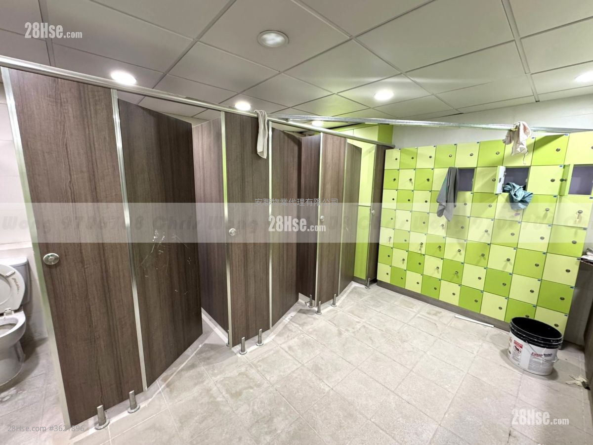 香港紗廠工業大廈5期 租盤 香港紗廠工業大廈5期 租盤